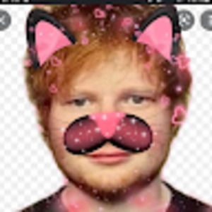 Meet your Posher, Bea